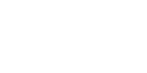 넷엔터테인먼트 logo