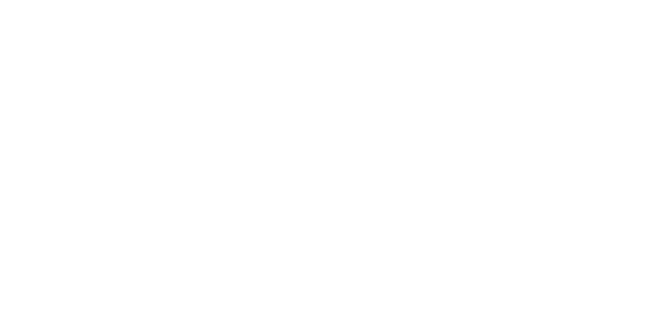 에볼루션 logo